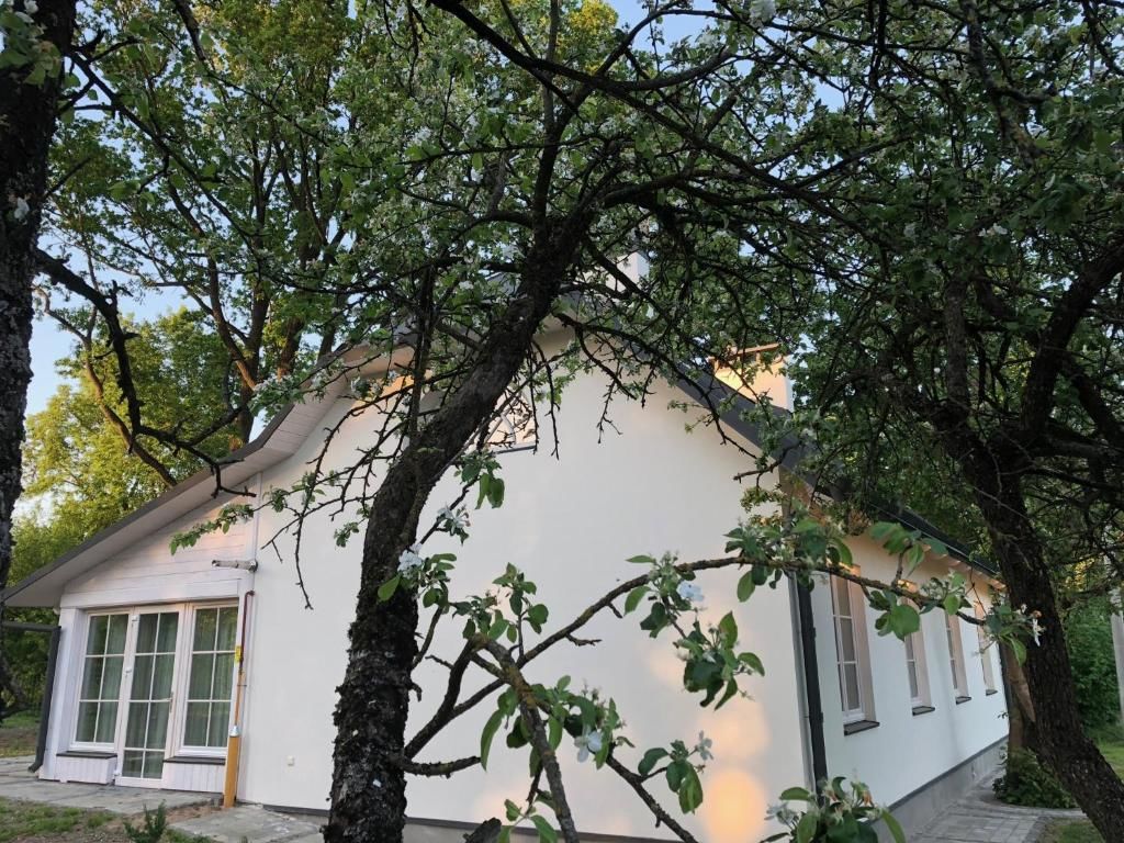 Виллы Siadziba Szczorsy Shchorsy-106